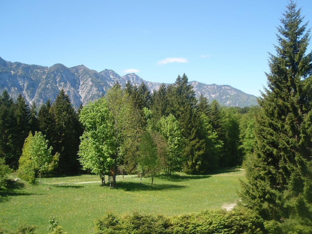 Ferienwohnung Hillbrand Bad Goisern Exteriör bild